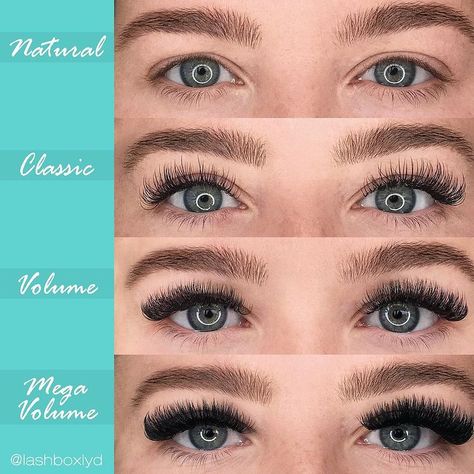 Classic Eyelash Extensions (2022): All You Need to Know - PMUHub Types Of Eyelash Extensions, Eyelash Extensions Classic, Volume Russe, Eyelash Studio, Lashes Fake Eyelashes, Eyelash Tips, Cat Eye Lash, Eyelash Extensions Styles, Lash Extensions Styles