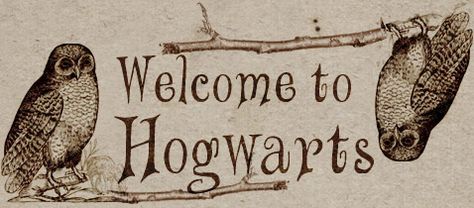 View topic - Welcome to Hogwarts (Now open!) - Chicken Smoothie Hogwarts Sign, Harry Potter Banner, Chicken Smoothie, Middle School Libraries, Harry Potter Stickers, About Harry Potter, Welcome To Hogwarts, School Displays, Tv Display