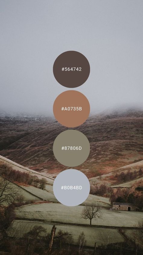 Grey And Brown Color Palette, Grey Colour Combination, Color Palette Brown, Brown Grey Paint, Bachelor Apartment, Ashy Brown, Light Grey Blue, Color Design Inspiration, Olive Tapenade