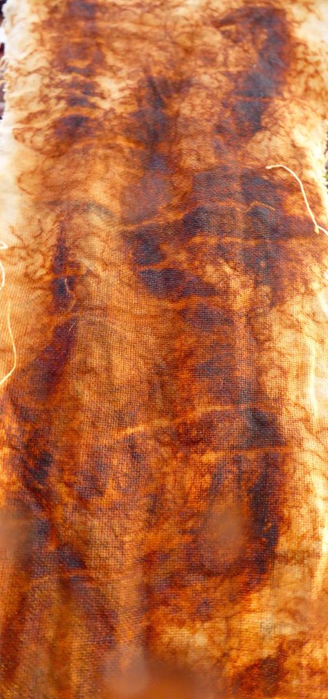 Rust dyed scrim using wire wool, rolled tightly and steamed for 1 hour Rust Dyed Fabric, Eco Printing Textiles, Rust Dye, Shibori Fabric, Natural Dye Fabric, Eco Dyeing, Textile Art Embroidery, Peeling Paint, Textiles Techniques