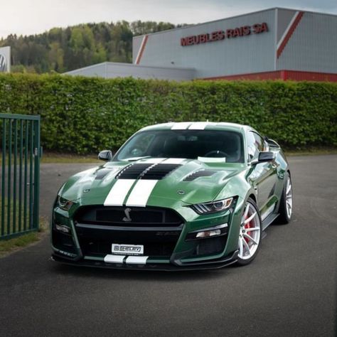 Car | Luxurycar | Sportscar | Thoughts??🔥 Credit @? #car #sportscar #mustang #mustanggt #mustangshelby #fordmustang #ford #green | Instagram Mustang Gt500 Shelby, Fort Mustang, Gt500 Shelby, Mustang Horses, Sports Cars Mustang, Cars Mustang, Green Instagram, Dodge Charger Hellcat, Instagram Thoughts