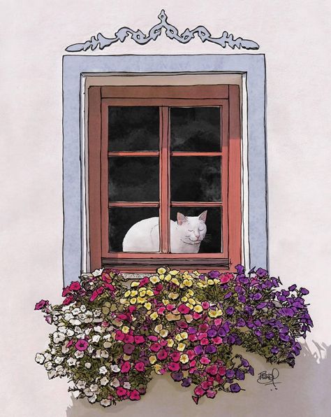 SPRING IS BREAKING OUT ALL OVER 🐣🐇🌷🐝 - Page 688 - Blogs & Forums Celebrate Each New Day, Cutest Cats Ever, Window Illustration, Cutest Cat, Clear Plastic Bags, Calendar Stickers, Iphone Wallpaper Photos, Window Art, Cat Wallpaper