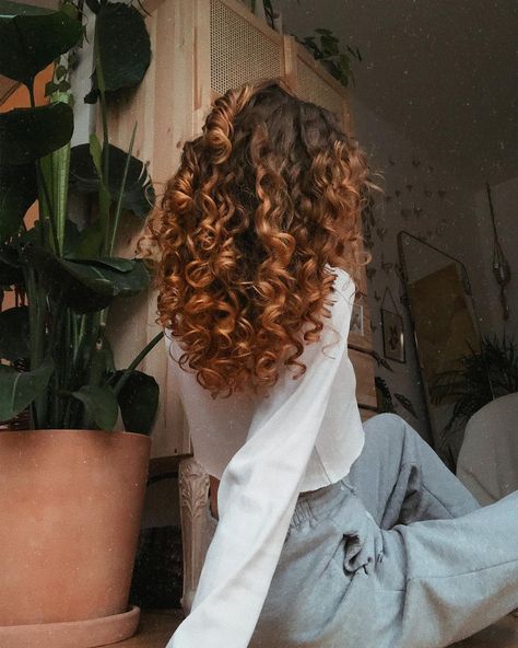 AYLA🦁 the curly Berlin girl. on Instagram: “lion girl🦁💛” Curly Hair Trends, Dyed Curly Hair, Natural Curly Hair Cuts, Highlights Curly Hair, Curly Hair Photos, Colored Curly Hair, Curly Hair Inspiration, Curly Girl Hairstyles, Curly Hair Tips