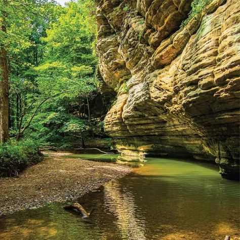 10 Amazing Parks In The Midwest That You Need To Visit – Mainstream Adventures Mainstream Adventures, Turkey Run State Park, Ha Ha Tonka, Starved Rock State Park, Illinois River, Hocking Hills State Park, Custer State Park, History Activities, Natural Bridge