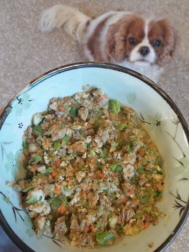 Dog Food Recipe, Diy Dog Food, Make Dog Food, Chicken Heart, Grain Free Dog Food, Healthy Dog Treat Recipes, Healthy Dog Treats, Homemade Dog Food, Homemade Dog