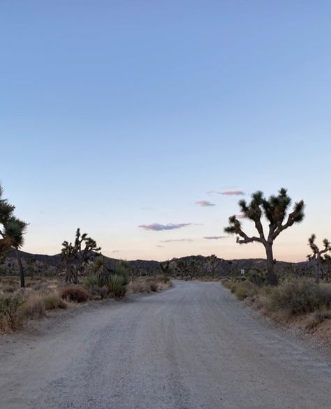 Cowboy Chic, Western Desert, Desert Dream, Blue Lake, Horse Girl, The Ranch, Joshua Tree, Wild West, Country Girls