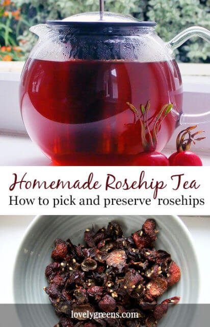 Rosehip Recipes, Flower Sweets, Tea Blends Recipes, Food Dehydration, Herbal Tea Garden, Rosehip Tea, Wild Food Foraging, Foraging Recipes, Fire Cider