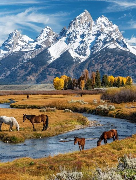 Mongolia Mountains, Wyoming Mountains, Mountain Reflection, Mountain Landscape Photography, Scenic Photography, Beautiful Sites, Wildlife Nature, Landscape Pictures, Beautiful Mountains