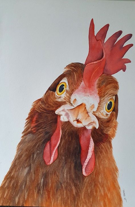 Aquarel  kip Chicken Pictures Art, Chickens Aesthetic, Chicken Drawing, Chicken Pictures, Mughal Art Paintings, Rooster Painting, Learn Watercolor Painting, Cartoon Chicken, Cartoon Character Tattoos