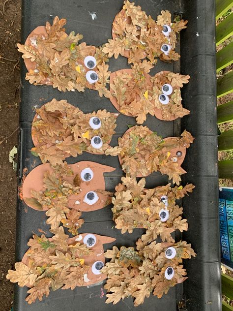 Autumn Display Eyfs, Owl Babies Eyfs Activities, Owl Babies Tuff Tray, Owl Babies Activities, Hibernation Preschool Activities, Autumn Animals, Forest School Activities, Tree Study, Eyfs Activities