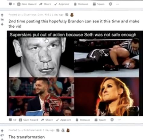 Wwe Memes Funny, Wwe Meme, Wwe Funny Pictures, Wwe Quotes, Weird Obsessions, Shield Wwe, Wrestling Memes, Wwe Funny, The Shield Wwe