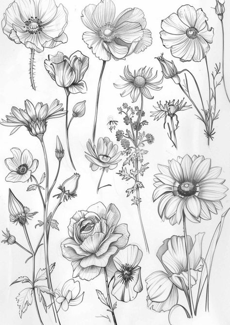 Sketches Of Flowers Realistic, Flower Study Drawing, Flower Line Drawing Botanical Illustration, Wild Flowers Drawing Sketch, Floral Sketch Drawing, Flower Pen Drawing, Pretty Flower Drawing, Floral Illustration Art, Floral Sketches