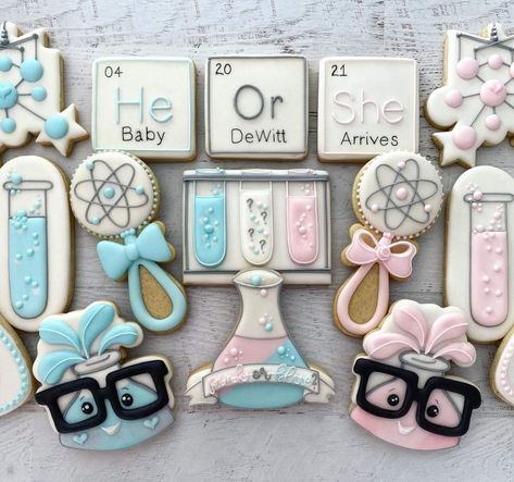 Gender Reveal Theme, Gender Reveal Cookies, Gender Reveal Themes, Cute Pregnancy Announcement, Shower Cookies, Sugar Cookie Designs, Science Themes, Baby Cookies, Cookie Inspiration