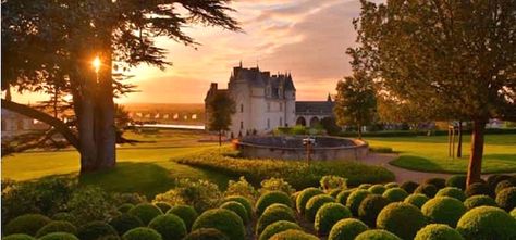 5 Essential Day Trips from Paris | Paris Insiders Guide Loire Valley Castles, Chateau Decor, Loire Valley Chateau, D Day Beach, Best Cities In Europe, Day Trip From Paris, Castle Garden, Chateau France, Nature Architecture