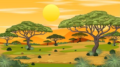 Savanna Tree, Savanna Biome, Savanna Grassland, Farm Cartoon, Photoshop Backgrounds Backdrops, Sunset Time, Nature Background Images, Arte Punk, Background Drawing