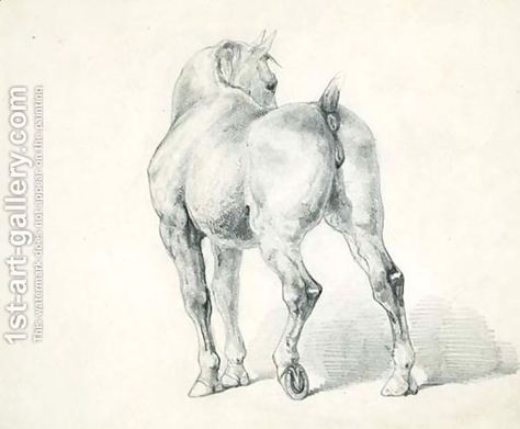 Equine Paintings, Theodore Gericault, Horse Sketches, Carriage Horse, Horse Images, Horse Reference, Zoo Ideas, Horses Art, Horse Paintings