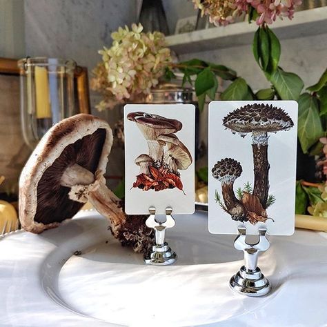 Untitled Mushroom Dinners, Woodland Mushrooms, Old Chatham, Digital Calligraphy, Edible Mushrooms, Chic Table, Woodland Theme, Elegant Font, Magical World