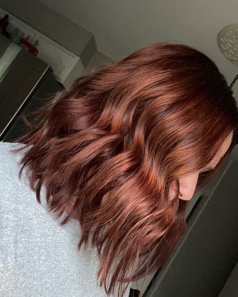 Brown Hair Toned Red, Ginger Hair Dye On Brown Hair, Red Brown Short Hair Color, Redish Hair Dye, Reddish Orange Brown Hair, Copper Tinted Brown Hair, Brown Hair Tinted Red, Reddish Brown Hair Short, Brown With Red Tint Hair