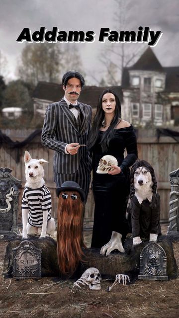 Family Dog Costumes, Addams Family Halloween Costumes, Dog And Owner Costumes, Happy Friday The 13th, Addams Family Costumes, We Rate Dogs, Dog Obsessed, Halloween Spooktacular, Snow Dogs