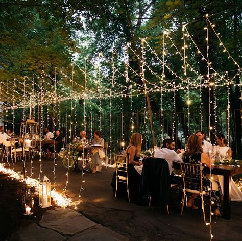 Wedding • Instagram Backyard Tables, Harvest Moon Wedding, Wedding Instagram, Moon Wedding, Light Magic, String Quartet, Harvest Moon, Twinkle Lights, Fall Festival