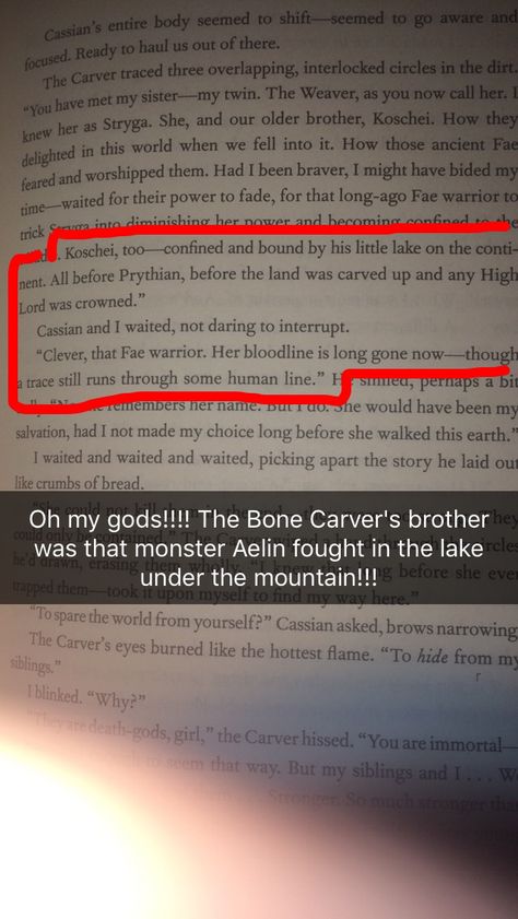 OK I TOTALLY THOUGHT OF THIS WHEN I WAS READING AND *BLASTS X-FILES THEME SONG* Acotar Fan Theories, The Bone Carver Acomaf, Tog X Acotar, Acotar Bone Carver, Koschei Acotar, Bone Carver Acomaf, Acotar Theories, Bone Carver, Under The Mountain