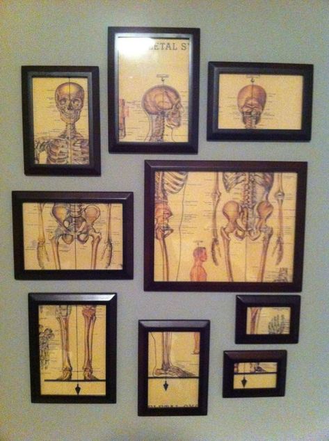 My $15 art wall art Anatomy Office Decor, Medical Decorations, Medical Collage, Skeleton Diagram, Chiro Office, Medical Decor, Medical Office Design, Future Office, Medical Illustrations