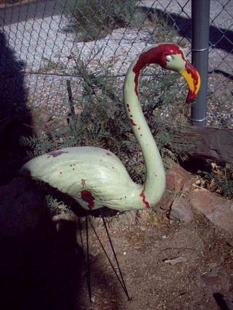 Zombie Flamingo, Painted Flamingos, Zombie Skin, Flamingo Halloween, Yard Flamingos, Plastic Flamingo, Flamingo Garden, Happy Halloween Witches, Yard Haunt