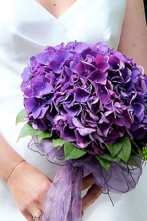 I will definitely need a purple bouquet to match the bridesmaids' dresses! Hydrangeas are so pretty :) Lavender Hydrangea Bouquet, Lilac Hydrangea Bouquet, Wedding Bouquets Hydrangea Purple, Purple Hydrangea Bouquet, Purple Hyacinth Bouquet, Blue And Purple Hydrangea, Hydrangea Bridal Bouquet, Purple Hydrangeas, Hydrangea Bouquet Wedding