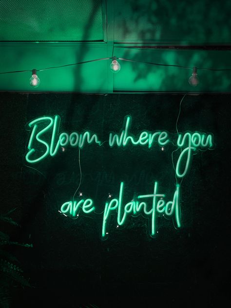 Green Quote Wallpaper, Emerald Green Bedrooms, Dark Green Wallpaper, Green Name, Green Quotes, Quote Wallpaper, Magic Quotes, Green Pictures, Dark Green Aesthetic