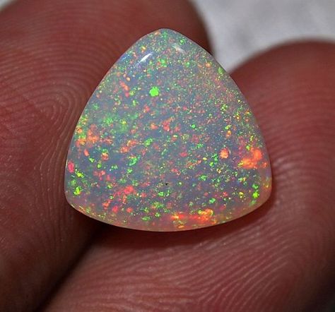 Ethiopian Wello Opal via Opalauctions Gemstone Art, Pretty Rocks, Beautiful Rocks, Minerals And Gemstones, Rocks And Gems, Gem Stones, Welo Opal, Precious Gems, Opal Crystal