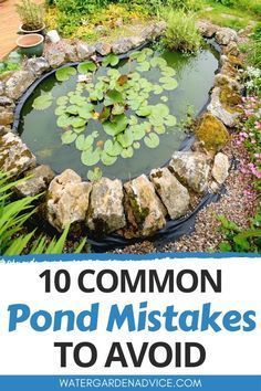 Ponds Backyard Waterfall, Small Fish Pond, Fish Ponds Backyard, Small Backyard Ponds, Diy Ponds Backyard, Ponds For Small Gardens, Koi Pond Design, Fish Pond Gardens, Patio Pond