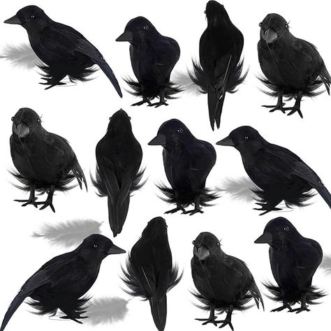 Amazon.com : ATDAWN 12 Pack Halloween Birds, Black Feathered Crows, Halloween Bird Decoration, Realistic Looking Black Birds, 6.1" from Beak to Tail Feathers : Home & Kitchen Halloween Raven, Halloween Decorations To Make, Black Crows, Haunted House Props, Black Birds, Fun Halloween Decor, Black Crow, The Crow, Halloween Party Themes