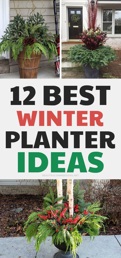 Christmas Pot Ideas, Outdoor Christmas Planter Ideas, Planter Diy Ideas, Winter Porch Decorating Ideas, Outdoor Winter Plants, Christmas Flower Pots, Porch Pot Ideas, Porch Pots Winter, Porch Pots Ideas