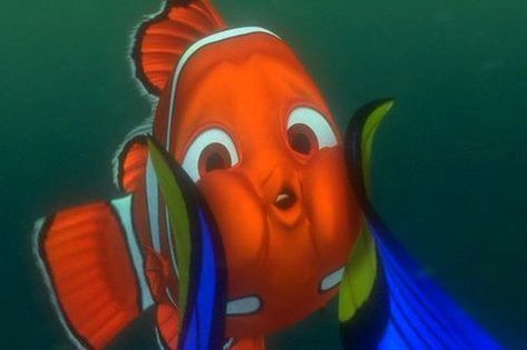 And so many people have squished your face. | 18 Things You'll Only Understand If You Look Really Innocent Bff Bucket List, Best Friend Bucket List, Disney Finding Nemo, Chicken Little, Film Disney, Chubby Cheeks, Pixar Movies, Clown Fish, Finding Nemo