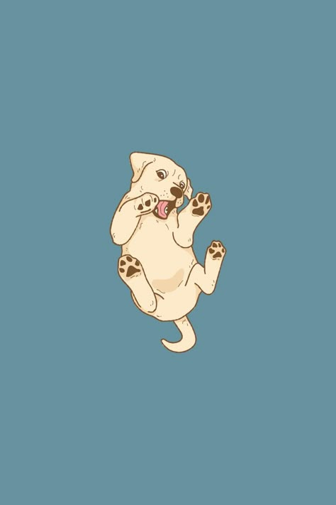 Baby Labrador, Ios14 Wallpaper, Wallpaper Rick And Morty, Phone Wallpaper Cute, Phone Screen Ideas, Paw Wallpaper, Labrador Art, Cute Dog Wallpaper, 2160x3840 Wallpaper