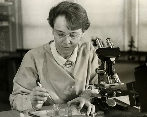 By Studying Corn, Barbara McClintock Unlocked the Secrets of Life | At the Smithsonian| Smithsonian Magazine Barbara Mcclintock, Cold Spring Harbor, Nuclear Physics, Human Genome, Women Scientists, Nobel Prize Winners, Scientific Discovery, Cold Spring, Marie Curie