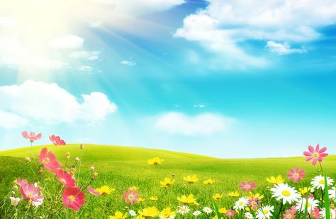 Spring Desktop Wallpaper HD. Spring Wallpaper Hd, Free Spring Wallpaper, 4k Ultra Hd Wallpapers, Spring Desktop Wallpaper, Frühling Wallpaper, Nature Background Images, Frutiger Aero, Spring Background, Most Beautiful Wallpaper