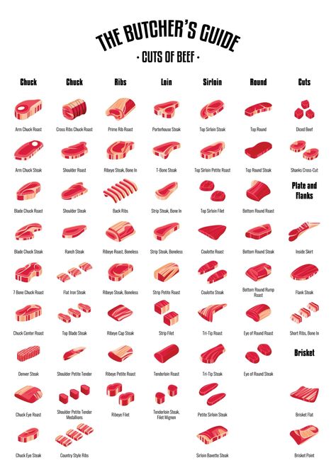 how much meat is half a cow and beef cuts Beef Cuts Chart Butcher Shop, Meat Cow Breeds, Best Meat Cow Breeds, Cow Meat Chart, Cow Butcher Chart, Beef Cuts Recipes, Half Cow Meat, Cow Meat Recipes, Beef Cuts Diagram