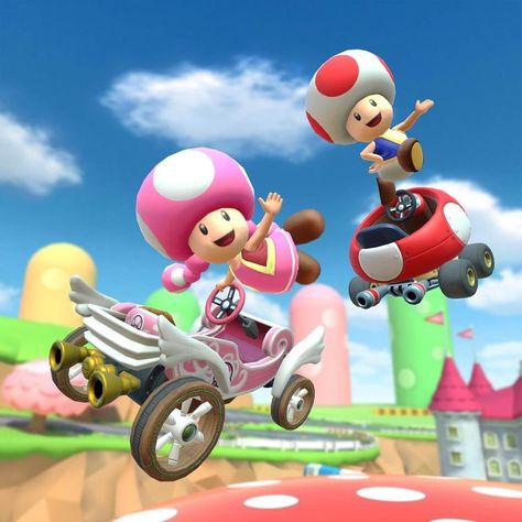 Toadette And Toad, Toad And Toadette, Toad Mario Bros, Toad Mario, Mario Princesses, Game Library, Vr Gaming, Pink Hats, Mushroom Kingdom