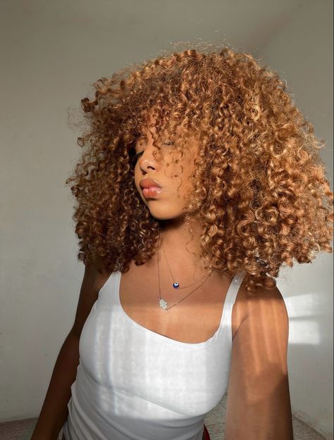 Honey Blonde Balayage Natural Hair, Honey Brown Curly Hair With Highlights, Curly Hair Honey Highlights, Honey Blonde Hair Curly, Honey Brown Hair Curly, Short Curly Hair Color Ideas, Golden Brown Curly Hair, Blonde Curly Afro, Honey Brown Curly Hair