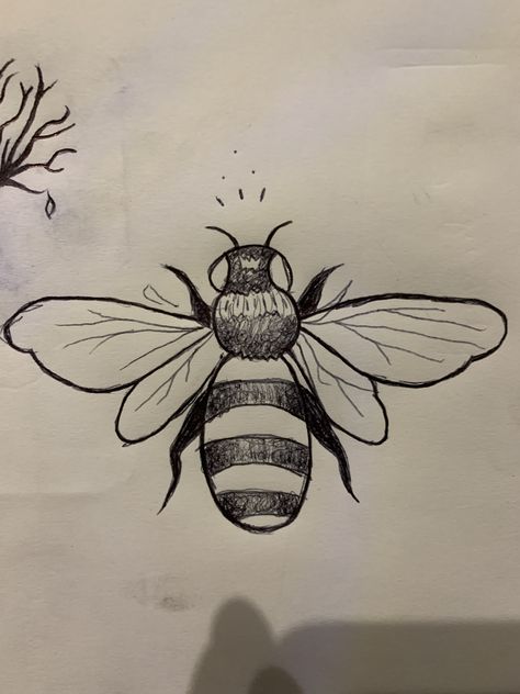 How To Draw Bees Easy, Insect Sketches Simple, Easy Insect Drawings, Bee Drawing Aesthetic, Easy Moth Drawing, Bubble Bee Drawing, Realistic Drawings Animals, Natural Forms Drawings, Bumble Bee Drawing Simple