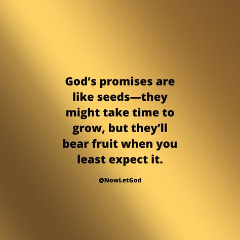 Planting seeds of faith today? Trust God’s promises—they might take time, but when they grow, they’ll produce fruit beyond your wildest dreams. Keep watering those seeds with faith and watch the harvest come. #DivineHarvest #FaithAndGrowth #GodsPlan #TrustInHim #SeedsOfPromise #nowletgod #letgodbegod #LetGod #letgoletgod🙏 #LetGoLetGod #LetGoAndLetGod Plant A Seed And Watch It Grow Quotes, Planting Seeds Of Faith, Fruit Quotes Inspirational, God Motivation, Fruit Quotes, Growing Quotes, Mom Prayers, Let Go And Let God, Gods Word