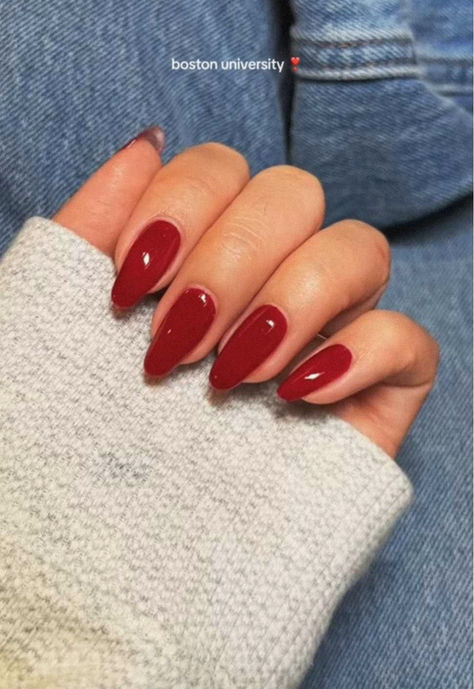 University Red Nails, Plain Dark Red Nails, Fall Red Nails 2023, Cherry Red Fall Nails, Cranberry Acrylic Nails, Dnd Boston University Red, Red Nail Theory Aesthetic, True Red Nails, Dark Red Dip Powder Nails