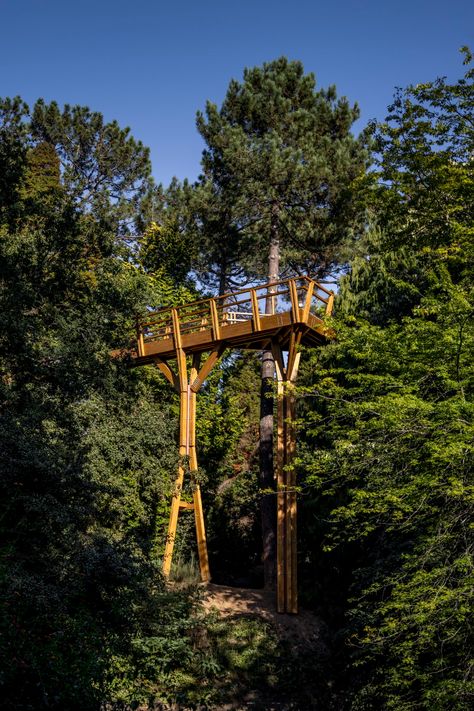 Treetop Walk Serralves - CARLOS CASTANHEIRA ARCHITECTS Canopy Walkway, Cork Tree, Steel Bridge, Tree Canopy, Jungle Gym, Pedestrian Bridge, Walkway, Black Bird, A Walk