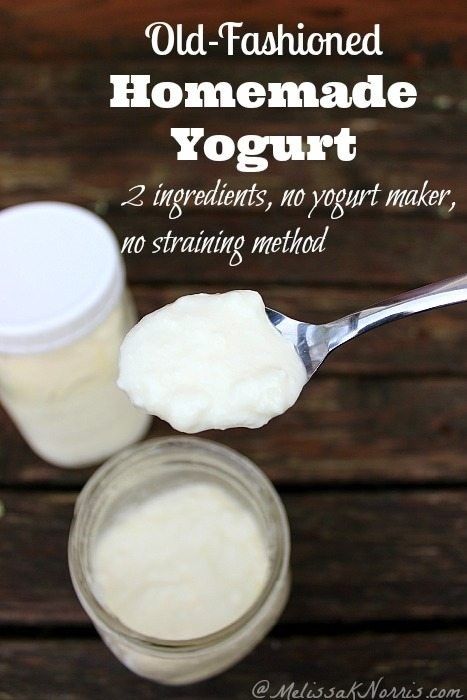 Melissa K Norris, Homemade Yogurt Recipes, Sauce Spaghetti, Creamy Yogurt, Yogurt Recipe, Healthy Yogurt, Yogurt Maker, Homemade Yogurt, Homemade Cheese