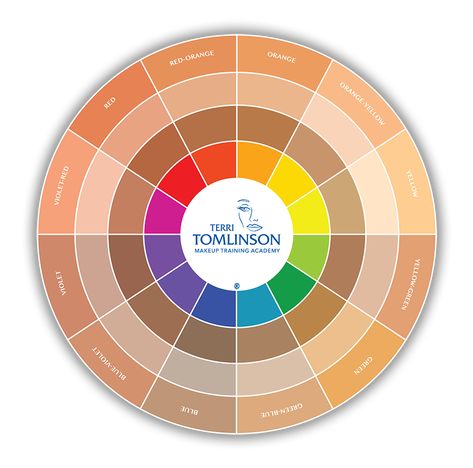 Makeup Color Theory, Colour Theory Skin Tone, Color Wheel For Makeup, Color Wheel Makeup, Color Theory Skin Tone, Color Theory Makeup, Skin Tone Chart, Skin Color Chart, Colour Wheel Theory