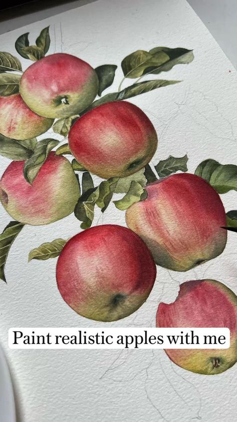 Paint realistic apples with me in 2022 | Watercolor paintings, Watercolor artist, Watercolor flowers Art Painting Watercolor, Paint Realistic, Flowers Paintings, Watercolor Paintings Nature, Arte Peculiar, Watercolor Flowers Tutorial, Pastel Sec, Paintings Watercolor, Watercolor Paintings For Beginners