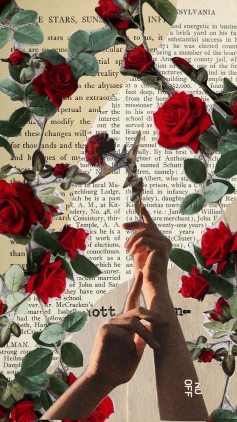 #romance #romantasize #love #roses #book #moodboard #aesthetic #shufflesapp Rose Collage, Diy Room Decor Videos, Roses Book, Love Roses, Aesthetic Roses, Moodboard Aesthetic, Romance Art, Paper Art Craft, Fashion Mood Board