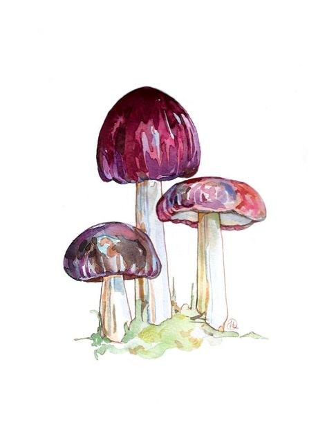 Watercolor Stream, Cement Mushrooms, Vegetables Watercolor, Mushroom Watercolor, Fungi Illustration, Watercolor Party, Mushroom Paint, Watercolor Flowers Tutorial, Art Album