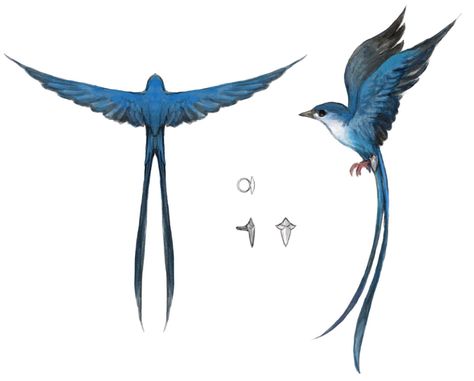 Fantasy Familiar Concept Art, Bird Fantasy Art, Birds Concept Art, Fantasy Birds, Bird Dragon, Fantasy Bird Art, Final Fantasy Xiv Tattoo, Fantasy Bird, Bird Concept Art